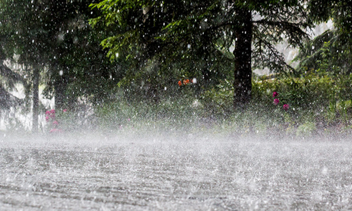 Tin mới về bão số 12 Fengshen: Dự báo gây mưa rất lớn cho Hà Tĩnh - Quảng Ngãi