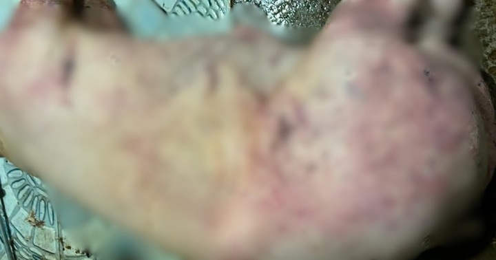 Kỹ sư thú y cấu kết với vợ chồng buôn lợn dịch bệnh tuồn “thịt thối” vào chợ dân sinh và bếp ăn công nhân