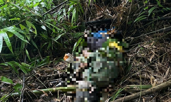 Vụ người đàn ông nghi bị voi tấn công tử vong ở Lâm Đồng: Chính quyền cảnh báo