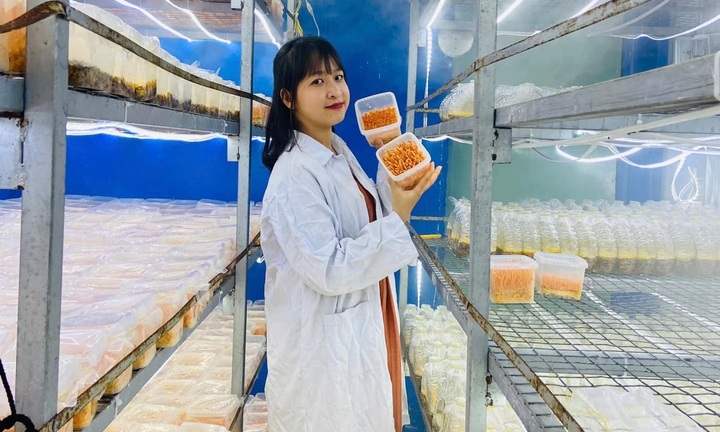 Bỏ phố về quê trồng nhiều loại nấm quý, cô gái trẻ thu nhập hơn 40 triệu đồng/tháng