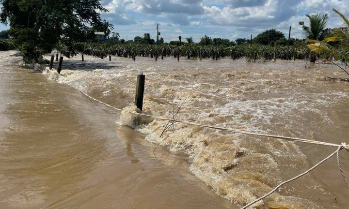 Tìm kiếm cô gái 27 tuổi nghi bị lũ cuốn ở Lâm Đồng