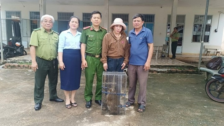 Phát hiện khỉ đuôi lợn 