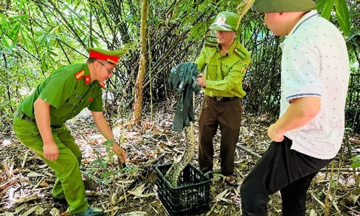 Phát hiện con vật 