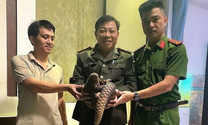 Phát hiện con vật 