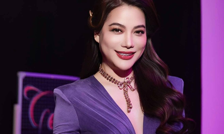 Sự nghiệp của Trương Ngọc Ánh trước khi bị bắt