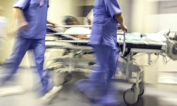 Tin tức đời sống 5/11:  Người phụ nữ suýt mất mạng vì vết mò đốt