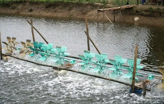 Danh tính hai cha con tử vong dưới ao nuôi tôm ở Cà Mau