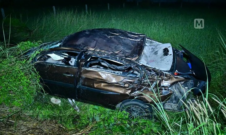 Tránh lợn thả rông trên đường, ô tô tông thẳng vào cây rồi lao xuống ruộng, 3 người thiệt mạng ở Ấn Độ