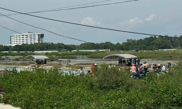 Tin tức thời sự ngày (12/11): Người dân bàn giao voọc bạc Đông Dương quý hiếm