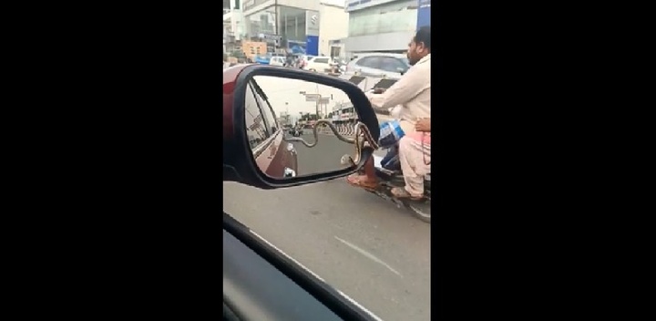 Clip: Đang lái xe, tài xế 