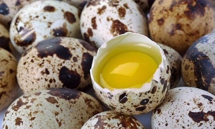 Mỗi ngày bạn có thể ăn bao nhiêu quả trứng cút