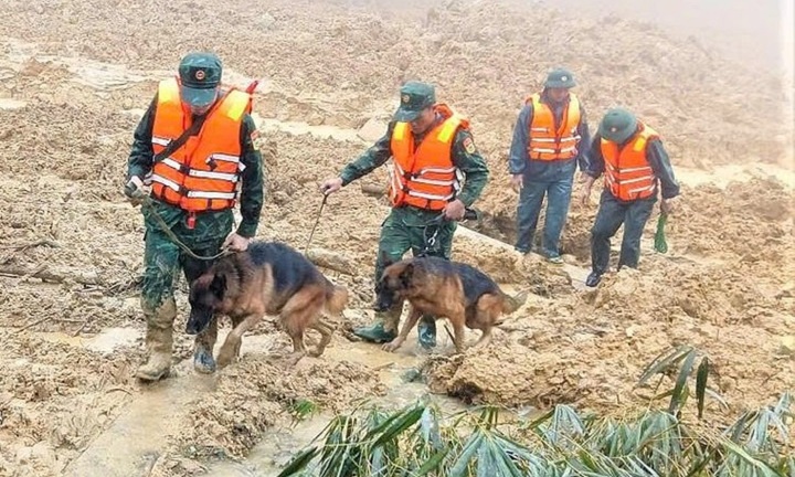 Vụ sạt lở núi ở Đà Nẵng, 3 người nghi bị vùi lấp: Huy động chó nghiệp vụ tìm kiếm nạn nhân