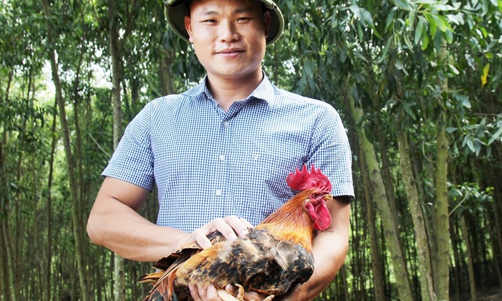 Bỏ chốn phồn hoa về rừng làm nông dân, 9X gây dựng thành công giống gà 6 ngón Nà Vàng
