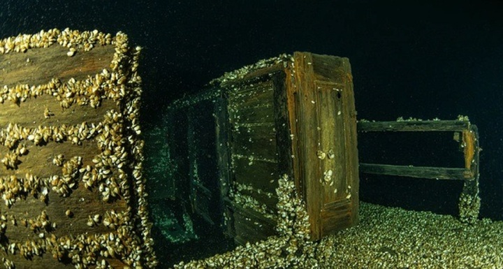 Vô tình tìm thấy