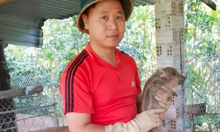 9X bỏ phố về quê nuôi heo rừng lai, thu lãi 700 triệu đồng/năm