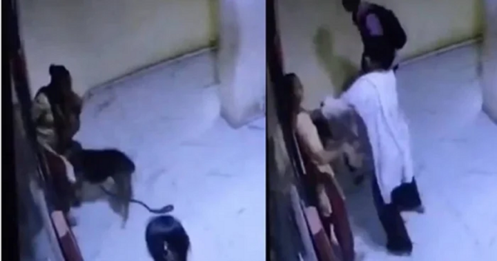 Clip: Người phụ nữ bất ngờ bị chó tấn công, hành động của chủ vật nuôi gây phẫn nộ