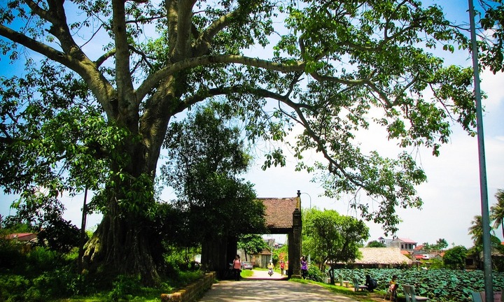 Làng Việt - Nơi lịch sử thở bằng đất