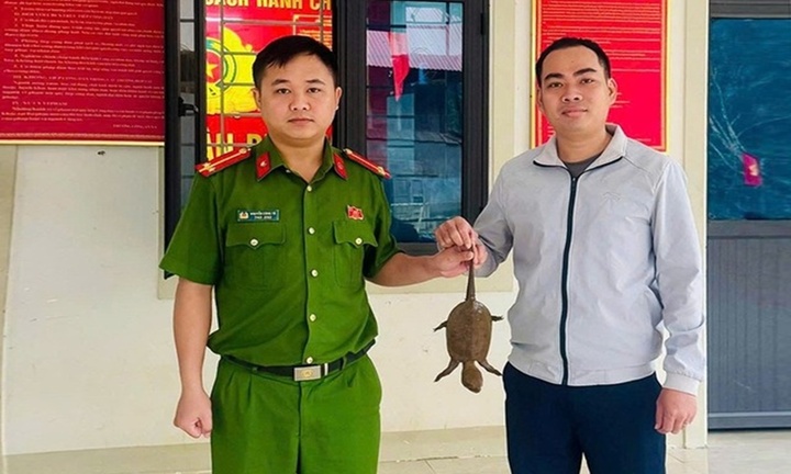 Người dân giao nộp rùa đầu to, khỉ vàng quý hiếm cho công an