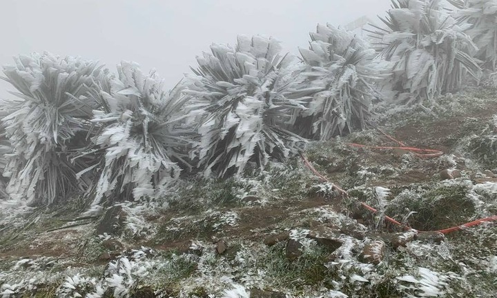 Miền Bắc đón không khí lạnh mạnh, có nơi rét đậm, nhiệt độ giảm xuống dưới 5 độ C