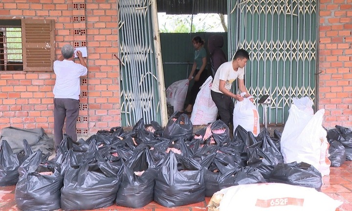 Phát hiện hơn 2.000 kg vịt chết bốc mùi hôi thối tại cơ sở kinh doanh ở TP.HCM