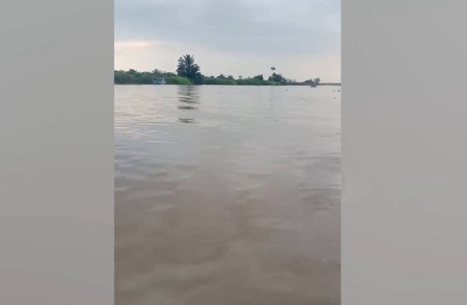 Đang rửa quả cọ trên sông, người đàn ông bị cá sấu cắn tử vong