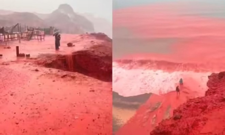 Ngỡ ngàng hòn đảo bỗng chốc biến thành 