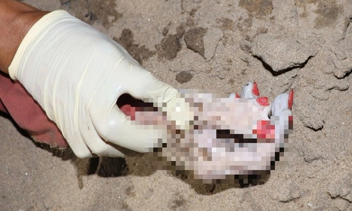 Phát hiện thi thể nữ trôi sông Sài Gòn, bàn tai phải có 6 ngón, sơn màu đỏ