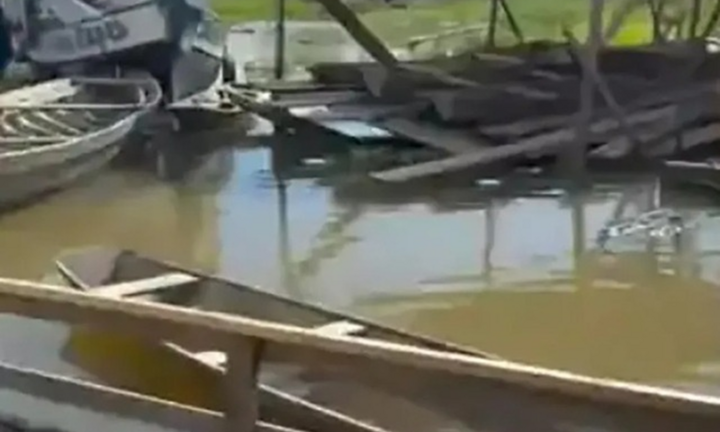 Xót xa bé gái 2 tuổi bị cá cọp piranha hung dữ tấn công, tử vong thương tâm