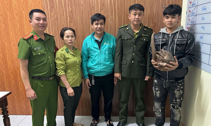 Phát hiện con vật lạ “mõm nhọn, không răng” bò giữa đường lúc nửa đêm, tài xế taxi trình báo công an