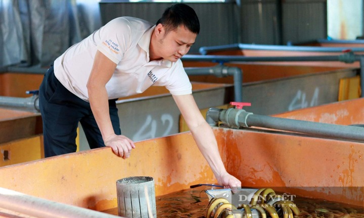 Bỏ lương 30 triệu/tháng để về quê nuôi con