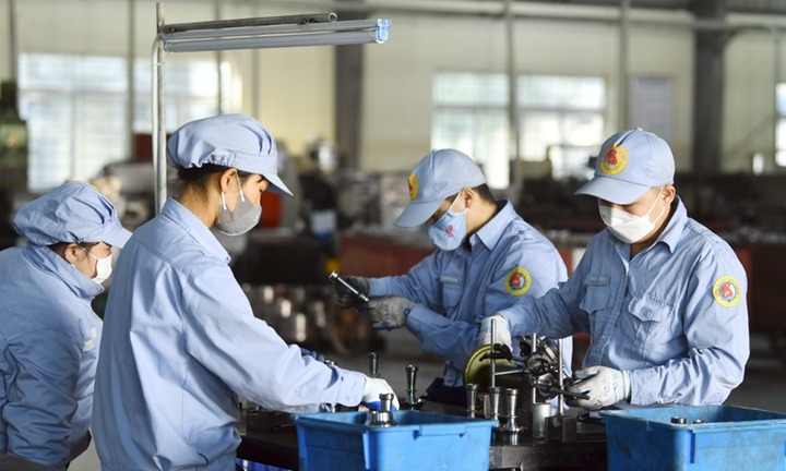Không đăng ký mã số thuế cá nhân có bị xử phạt?