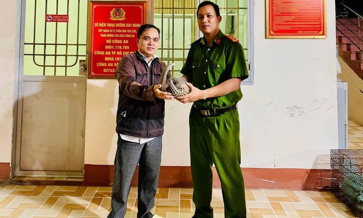 Phát hiện con vật quý hiếm, người đầy vảy bò ngang đường, người đàn ông mang đến giao nộp cho công an