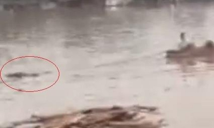 Tin pháp luật nổi bật 24h qua: Điều tra nguyên nhân vụ thi thể nữ giới trôi trên sông Đồng Nai