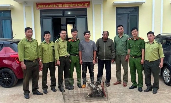 Phát hiện