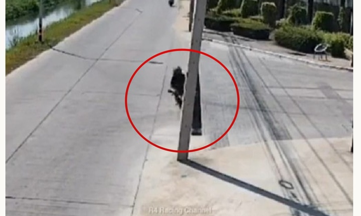 Camera ghi lại khoảnh khắc xe phân khối mất lái đâm gãy cột điện tại Thái Lan
