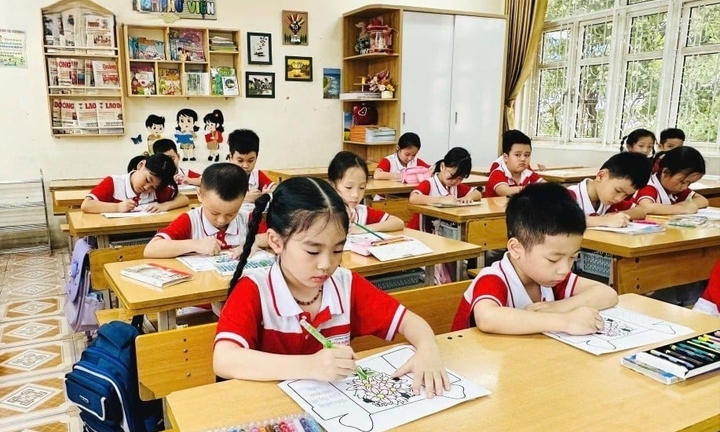 Tỉnh Quảng Ninh chi hơn 300 tỷ đồng cho học sinh mầm non, tiểu học uống sữa miễn phí