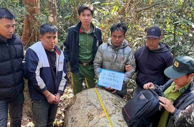 Lâm Đồng: Bắt giữ nhóm lâm tặc cưa hạ 6 cây gỗ dổi khu vực thủy điện Đồng Nai