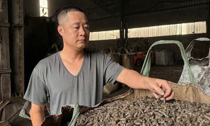 Bỏ phố về rừng, cử nhân kinh tế biến cành khô, rễ mục thành 