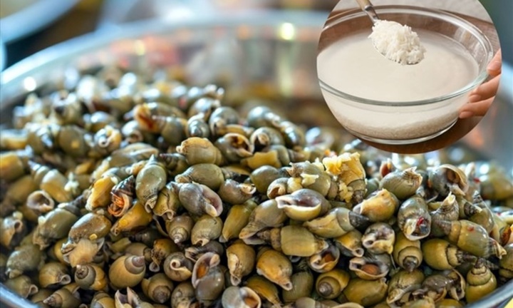 Mẹo ngâm ốc nhanh nhả bùn đất