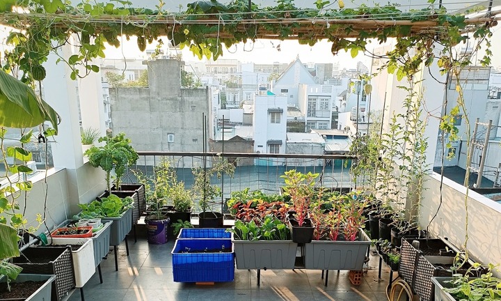 Ngắm khu vườn sân thượng 36m2 