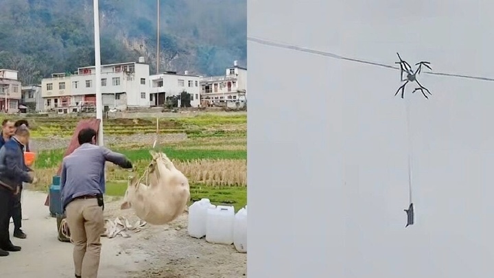 Dùng drone vận chuyển lợn ăn Tết, người đàn ông làm cả làng mất điện suốt 10 giờ