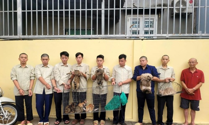 Bắt nhóm đối tượng chuyên dùng súng điện, bình xịt hơi cay trộm mèo ở TP.HCM