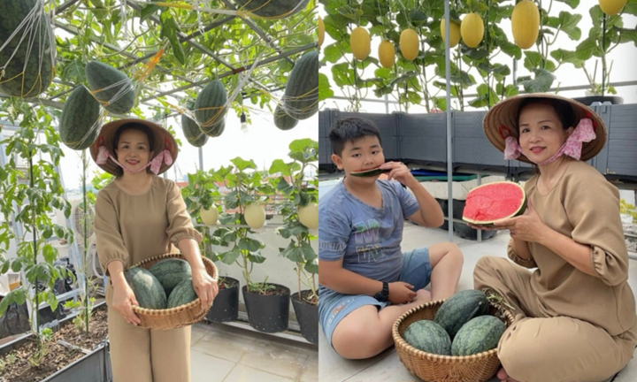 Cận cảnh 