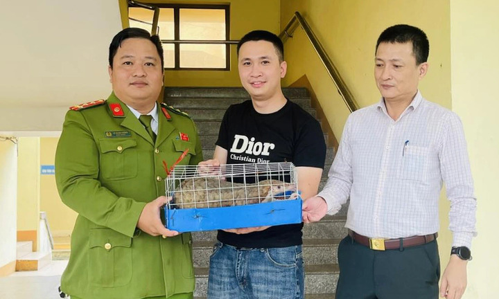 Phát hiện loài vật quý hiếm trên đường phố, người dân giao nộp cho công an