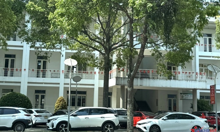 Vụ nữ tạp vụ đâm nam sinh trong nhà nghỉ để quỵt nợ: Trường đại học lên tiếng
