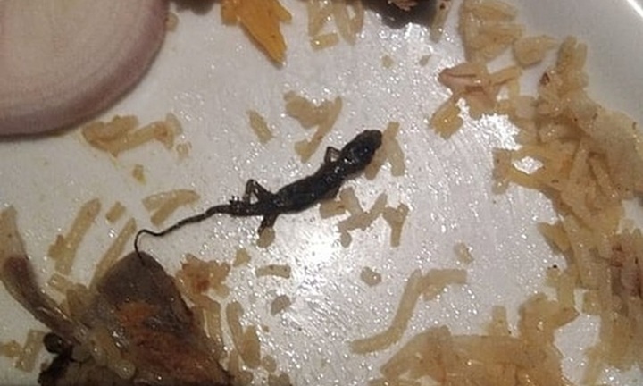 Phát hiện thằn lằn trong suất ăn trưa, 44 học sinh nhập viện