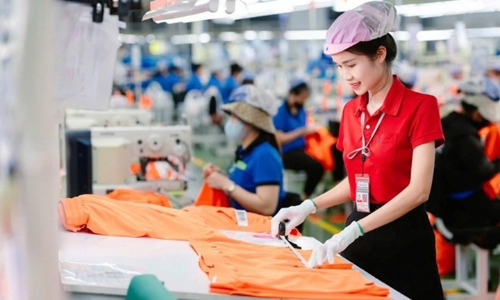 Xu hướng tuyển dụng quý II/2026: Doanh nghiệp Việt lạc quan nhưng vẫn tái cấu trúc