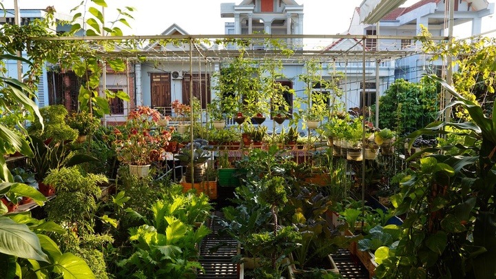 Biến ban công, mái tôn thành 