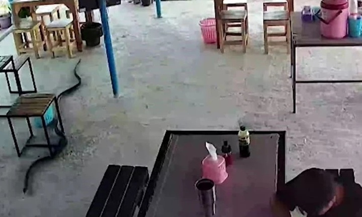 Clip: Sát thủ kịch độc trườn dưới chân, nam thanh niên tháo chạy thục mạng trong gang tấc