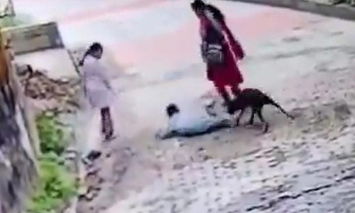 Đau lòng: Đang đi bộ cùng mẹ, bé trai bị chó hoang tấn công, camera ghi lại khoảnh khắc kinh hãi